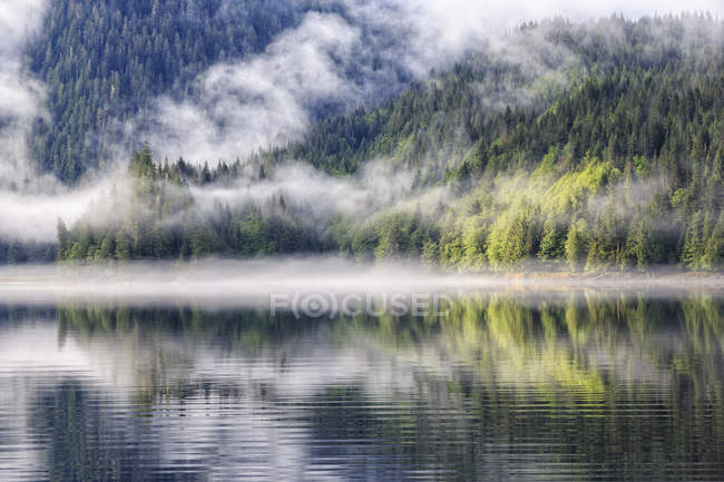 Canadá, Colúmbia Britânica, Vale Khutzeymateen, Parque Provincial Khutzeymateen, fiorde com nevoeiro — Fotografia de Stock