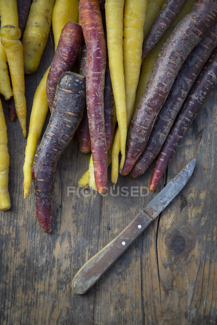 Carottes jaunes et violettes sur table en bois foncé avec couteau — Photo de stock