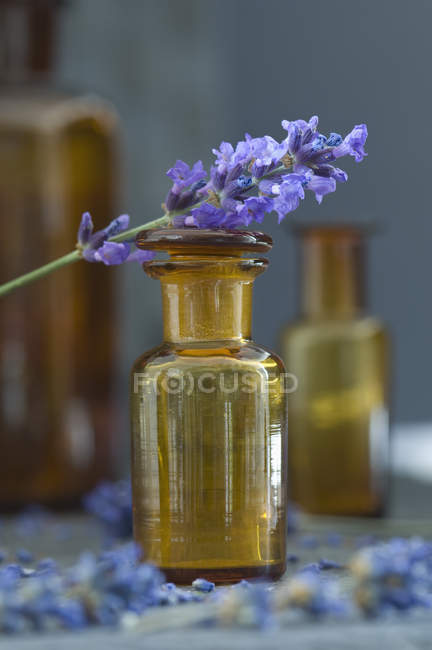 Lavendelzweig auf brauner Glasflasche — Stockfoto