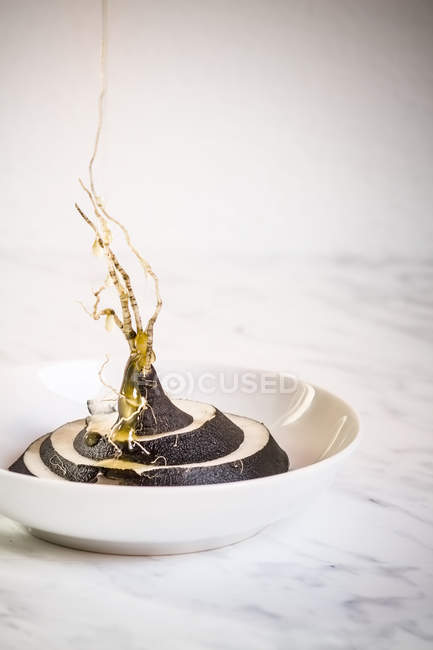 Ravanello nero affettato con miele in ciotola su marmo bianco — Foto stock