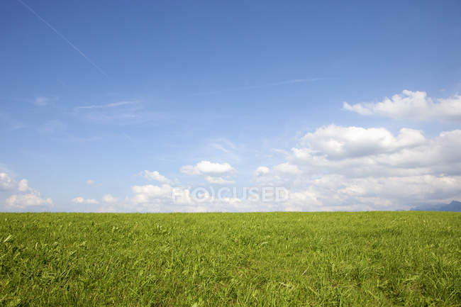 Allemagne, Bavière, Champ vert par beau temps — Photo de stock