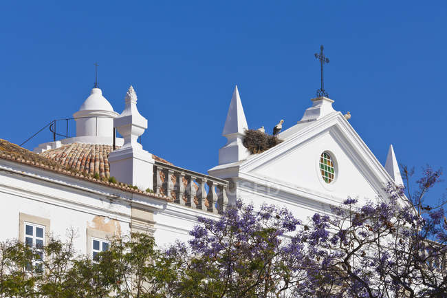 Portugal, Faro, Les cigognes perchées dans les oiseaux nichent sur l'église Misericordia — Photo de stock