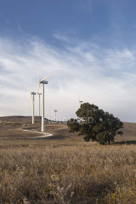 Spagna, Andalusia, Cadice, turbine eoliche in piedi su un campo — Foto stock