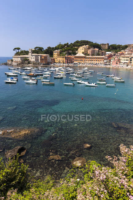 Italia, Liguria, Sestri Levante, Baia del Silenzio durante el día - foto de stock