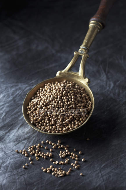 Brass spoon with coriander seeds on textile, close up — Stock Photo