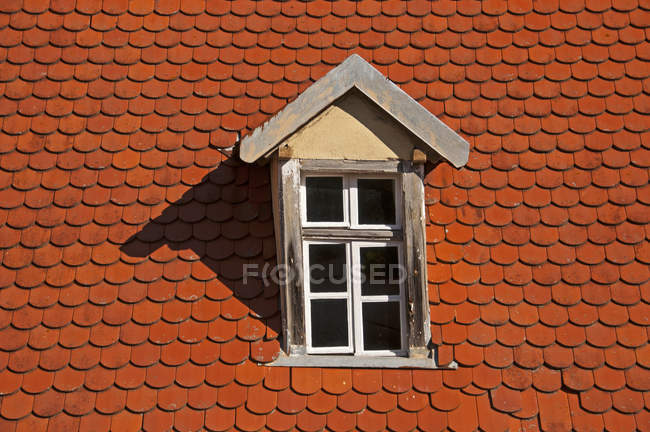 Parte de um telhado com dormitório e telhas de cauda de castor — Fotografia de Stock