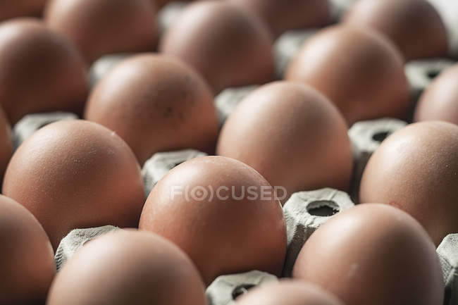 Brown eggs on egg carton, close-up — Stock Photo