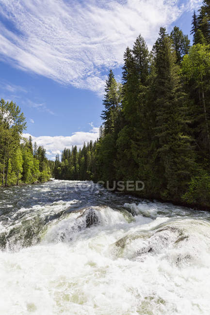 Canada, Columbia Britannica, Wells Gray Provincial Park, Murtle River — Foto stock
