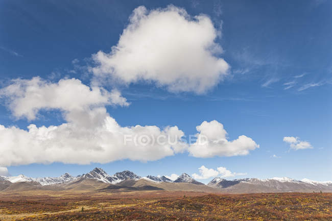 Paisaje a lo largo de la autopista Denali en otoño con Alaska Range, Alaska, EE.UU. - foto de stock