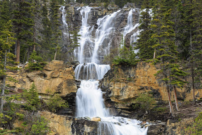 Kanada, Alberta, Jaspis-Nationalpark, Wasserfälle im Gewirr des Baches — Stockfoto