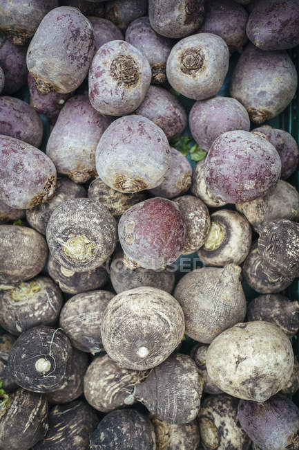 Primo piano di barbabietole fresche in mucchio al mercato vegetale — Foto stock