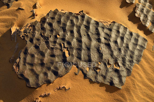 Nord Africa, Algeria, Sahara, Tassili N'Ajjer, fondale pietrificato con tracce animali
, — Foto stock