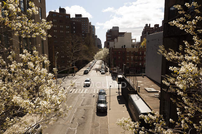 USA, New York, Manhattan, High Line Park, Cityscape com tráfego na rua e árvores florescentes — Fotografia de Stock