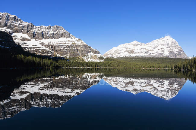 Vista do Lago O 'Hara com montanhas e árvores sob céu azul nublado no Parque Nacional Yoho, British Columbia, Canadá , — Fotografia de Stock