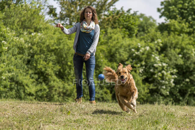 Mulher jogando bola, golden retriever correndo no prado — Fotografia de Stock