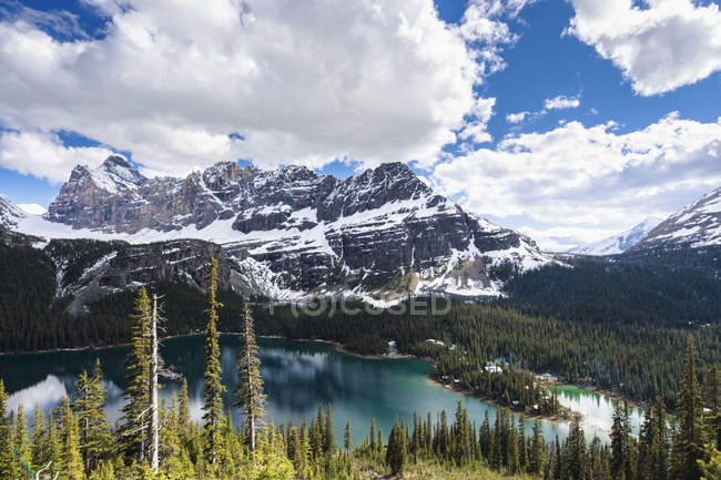 Kanada, British Columbia, Yoho Nationalpark, Lake o 'hara und Berge — Stockfoto