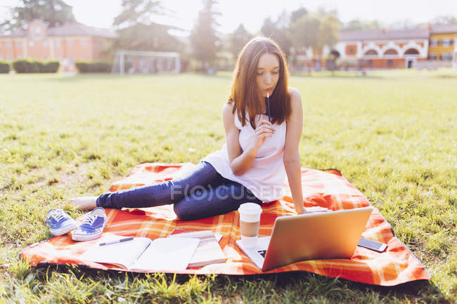 Estudiante en el parque trabajando con portátil - foto de stock