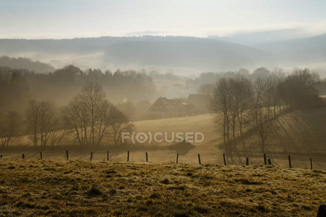 Германия, Северный Рейн-Вестфалия, Бергишская земля, Рупихтерот, пейзаж в утреннем тумане — стоковое фото