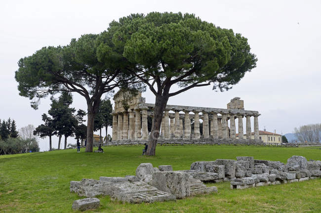 Italia, Campania, Paestum, veduta di rovine e alberi in primo piano — Foto stock