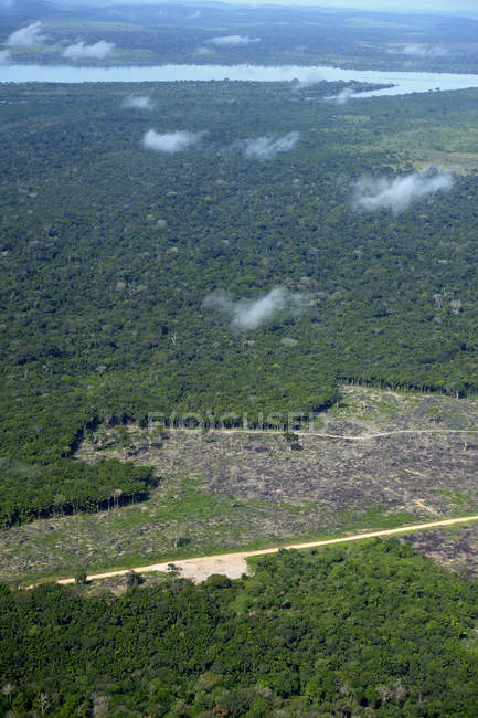 Amazzonia foresta pluviale e nuvole, Brasile, Para — Foto stock