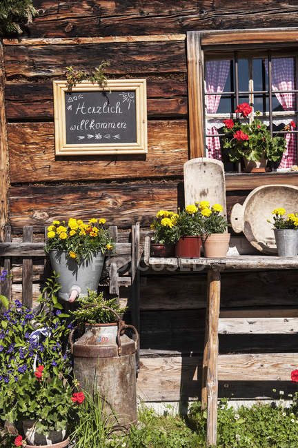 Austria, Salzburg State, Untertauern, Pongau, alpine cabin — Stock Photo
