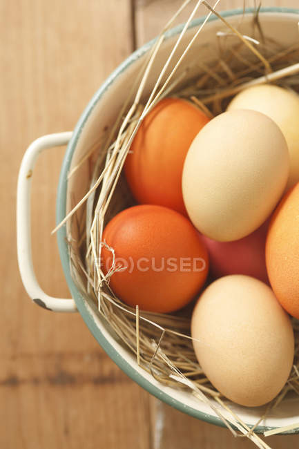 Primer plano de huevos de Pascua de colores en la cesta, disparo de estudio - foto de stock