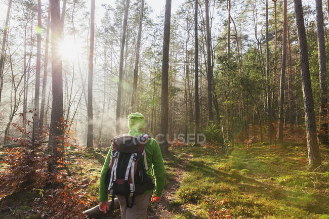 Alemanha, Renânia-Palatinado, vista traseira do caminhante com mochila em Dahn Rockland no dia de inverno — Fotografia de Stock