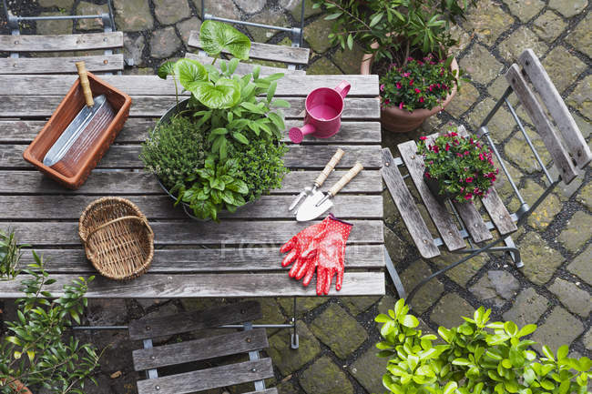 Gartenarbeit, verschiedene Heil- und Küchenkräuter und Gartengeräte auf dem Gartentisch — Stockfoto