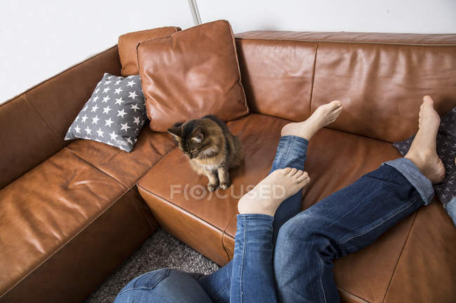 Детка нежится на диване