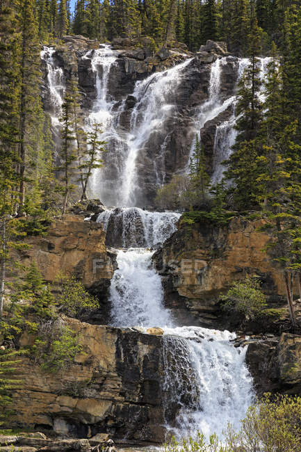 Canada, Alberta, parc national Jasper, chutes Tangle Creek — Photo de stock