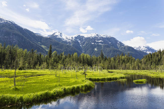 USA, Alaska, Hyder, Stewart, Paesaggio fluviale a Fish Creek — Foto stock