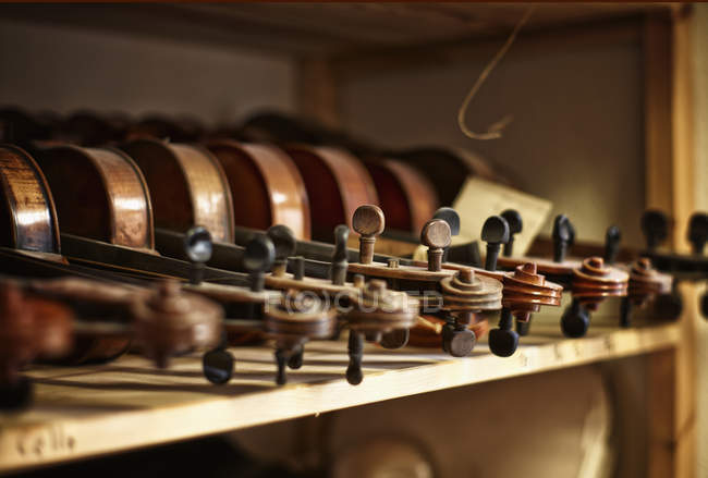 Violons à réparer dans un atelier de luthier — Photo de stock