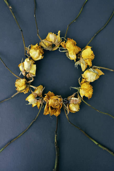 Rose gialle in cerchio su sfondo scuro — Foto stock