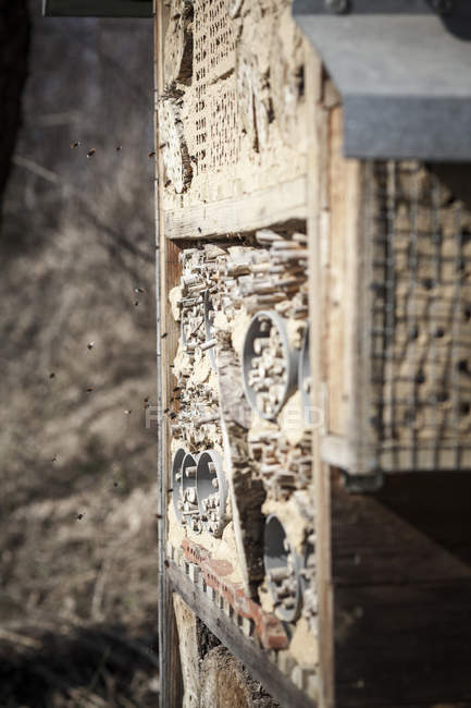 Gros plan de l'hôtel des abeilles et des abeilles dans l'air — Photo de stock