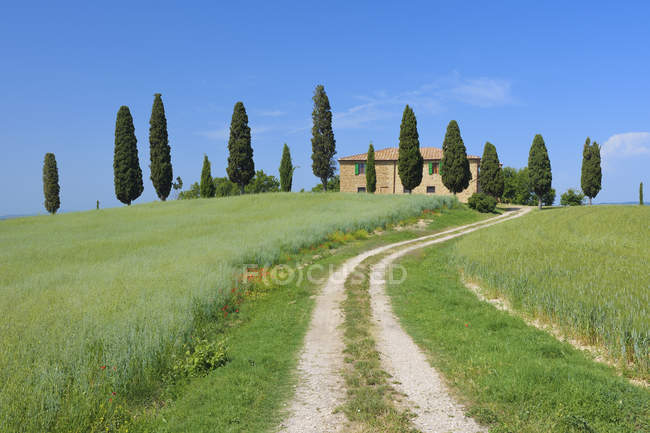 Italia, Toscana, provincia di Siena, Val dOrcia, Pienza, vista su strada sterrata attraverso campi con casali e cipressi — Foto stock