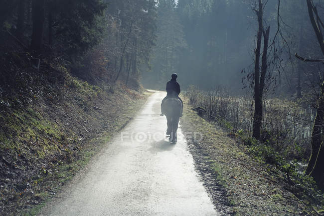 Germania, Renania Settentrionale-Vestfalia, Bergisches Land, Rhein-Sieg-Kreis, ciclista solitario sulla pista forestale, vista dal retro — Foto stock