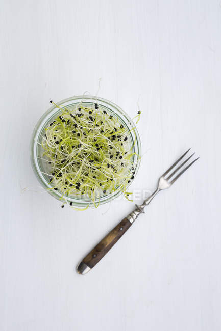 Preserving jar with leek sprouts and fork on white background — Stock Photo