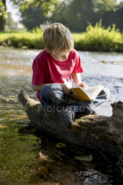 Ragazzo seduto su legno morto al ruscello a leggere un libro — Foto stock