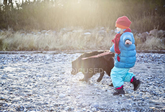 Bambina con labrador passeggiando lungo la spiaggia — Foto stock