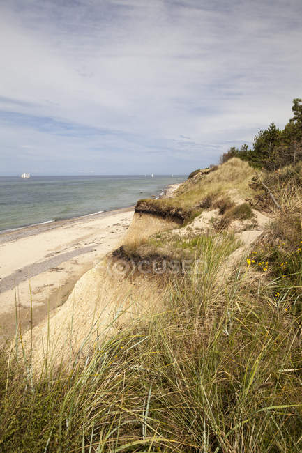 Vista sulla spiaggia sabbiosa durante il giorno — Foto stock