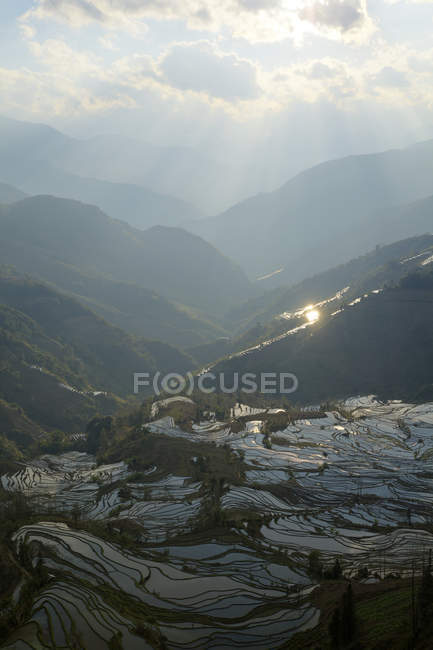 Китай, Юньнань, Yuanyang, рисові тераси денний час — стокове фото