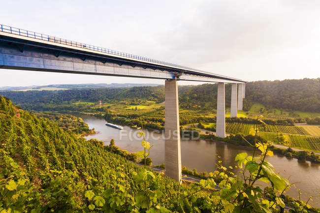 Allemagne, Coblence, Vue du pont autoroutier Moselle Viaduc traversant la vallée de la Moselle — Photo de stock