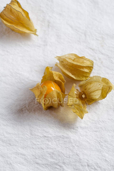 Physalis frutta con fiori secchi — Foto stock