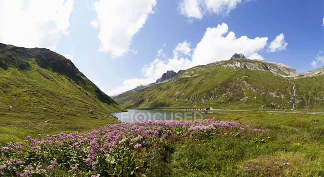 Suiza, Grisones, Lago Oberalpsee y Oberalp Pass - foto de stock