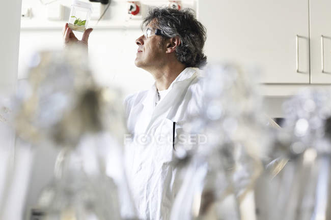 Scientist in laboratory evaluating samples — Stock Photo