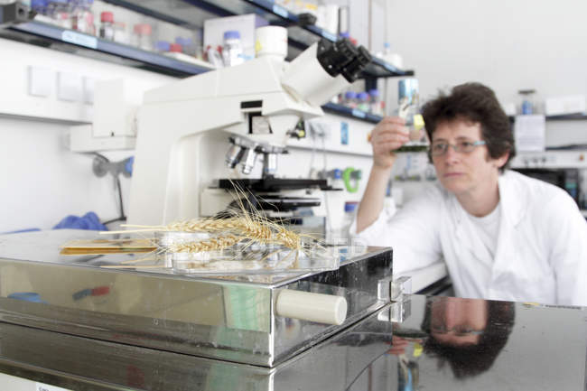 Cientista que trabalha em laboratório biológico — Fotografia de Stock