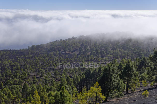 Espagne, Îles Canaries, La Palma, Cumbre Vieja au volcan San Martin près de Fuencaliente, paysage montagneux pittoresque — Photo de stock