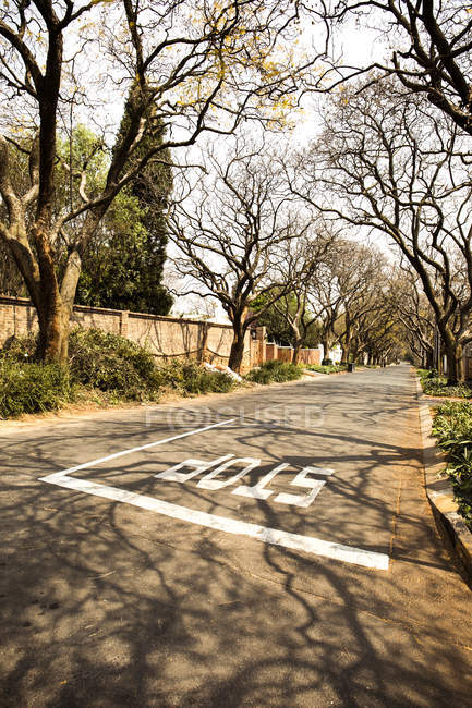 South Africa Johannesburg Street In Parkview District With Bare Trees And Road In Sunshine Weather Day Housing Area Sky Stock P O 181967468 South Africa Johannesburg Street In Parkview District With Bare Trees And Road In Sunshine Weather Day Housing Area Sky Stock P O 181967468