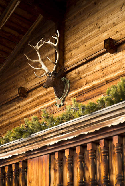 Áustria, Tirol, Alpbach, Casa de madeira com cabeça de veado — Fotografia de Stock
