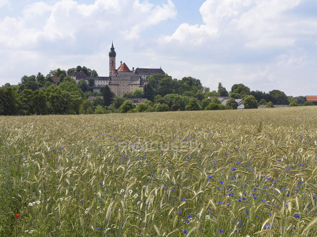 Німеччина, Баварія, верхній Баварії, поля зерна з волошки, абатство місті Andechs — стокове фото